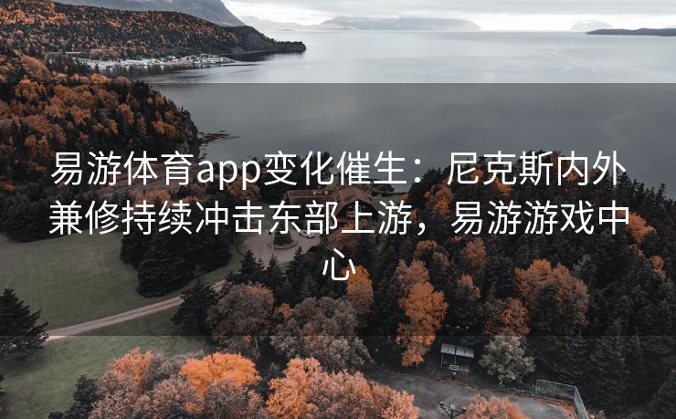 易游体育app变化催生：尼克斯内外兼修持续冲击东部上游，易游游戏中心